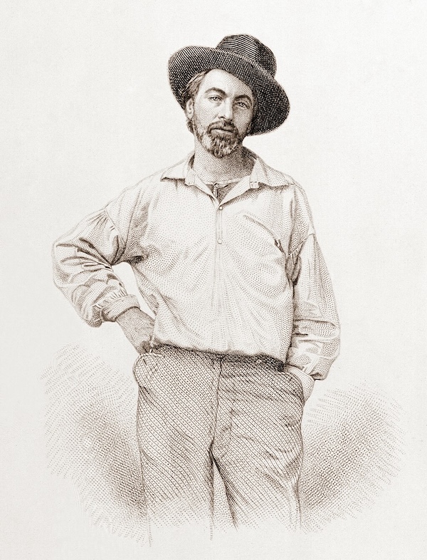 Walt Whitman, age 35, frontispiece to Leaves of Grass 1855, engraving by Samuel Hollyer after Gabriel Harrison